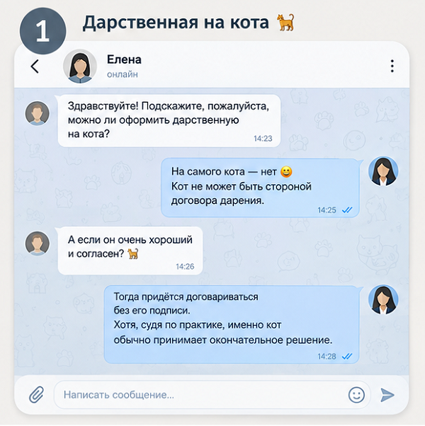 darstvennaya-na-kota (1)